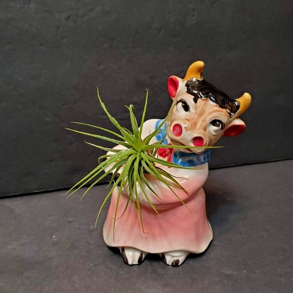 Cow Air Plant Holder, Airplant Gift, Farm Animal Planter, Cow Figurine, Airplant - Picture 1 of 9